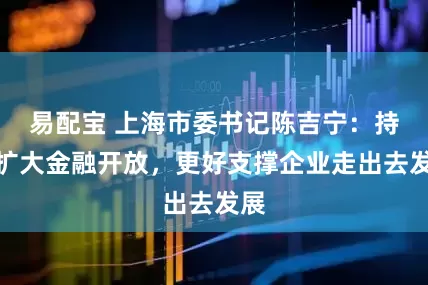 易配宝 上海市委书记陈吉宁：持续扩大金融开放，更好支撑企业走出去发展