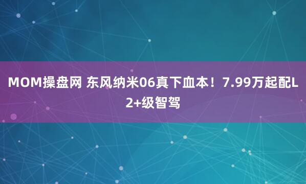 MOM操盘网 东风纳米06真下血本！7.99万起配L2+级智驾