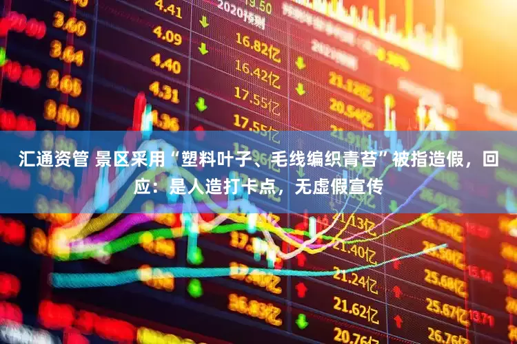 汇通资管 景区采用“塑料叶子、毛线编织青苔”被指造假，回应：是人造打卡点，无虚假宣传