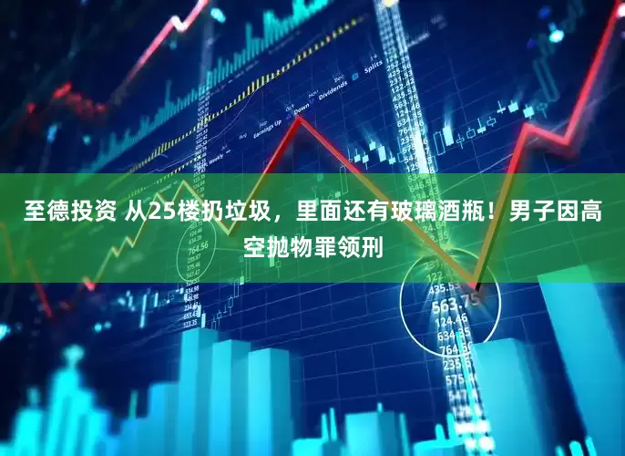 至德投资 从25楼扔垃圾，里面还有玻璃酒瓶！男子因高空抛物罪领刑