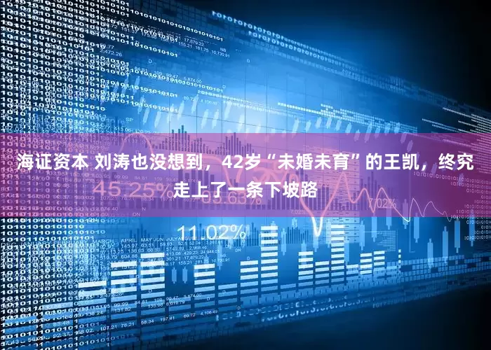 海证资本 刘涛也没想到，42岁“未婚未育”的王凯，终究走上了一条下坡路