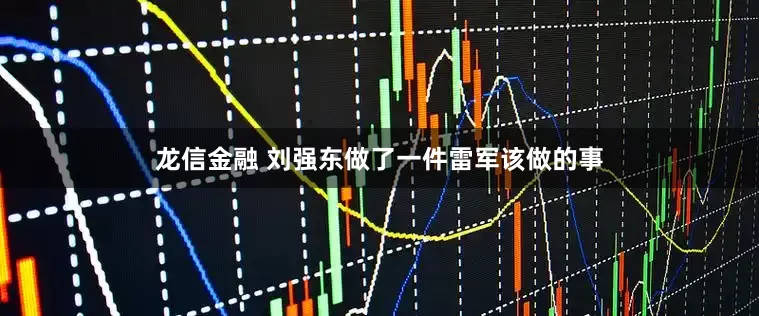 龙信金融 刘强东做了一件雷军该做的事